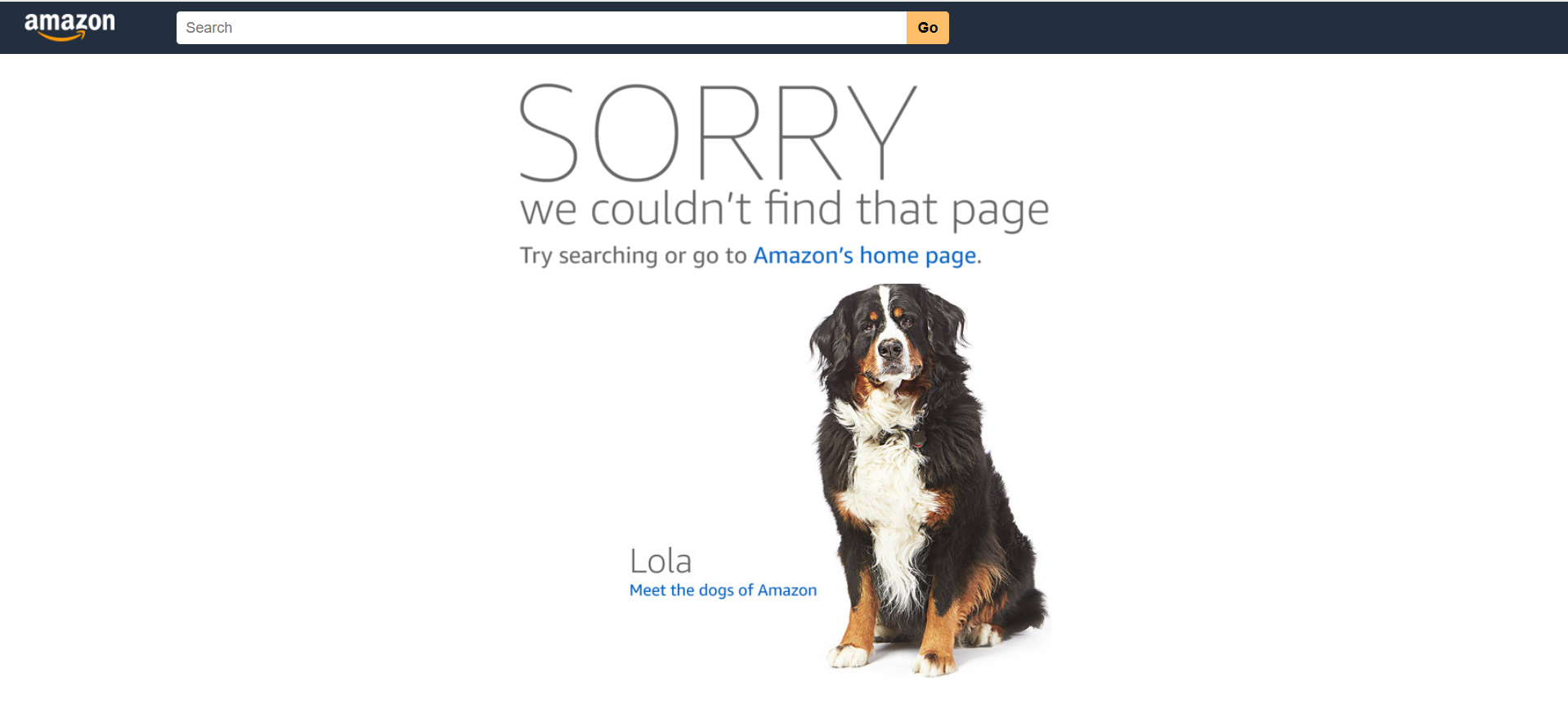 Amazon's 'Sorry, we couldn't find that page' error screen - the kind of message sellers see when their ASIN is suppressed.